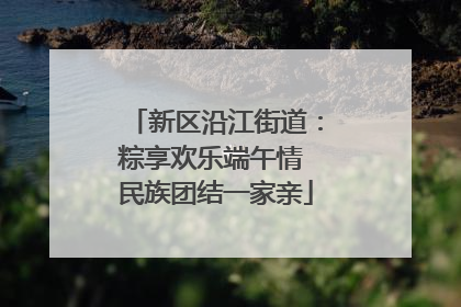 新区沿江街道：粽享欢乐端午情 民族团结一家亲